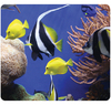 ALFOMBRILLA ECOLOGICA. ACUARIO ACCS .
