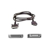 PRINTER CABLE PAR 3M GREY